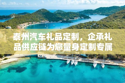 泰州汽车礼品定制，企承礼品供应链为您量身定制专属车饰