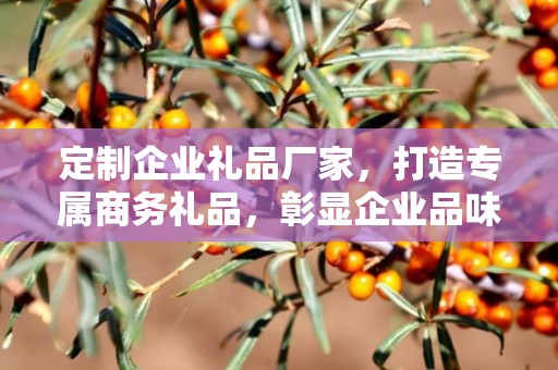 定制企业礼品厂家，打造专属商务礼品，彰显企业品味