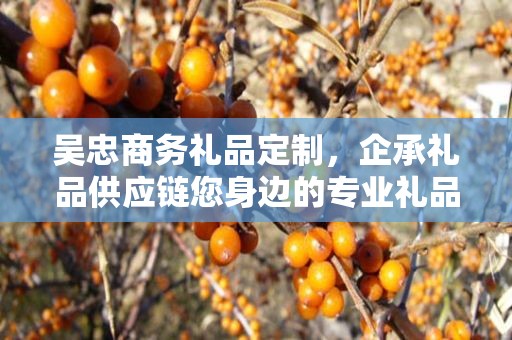 吴忠商务礼品定制，企承礼品供应链您身边的专业礼品定制公司