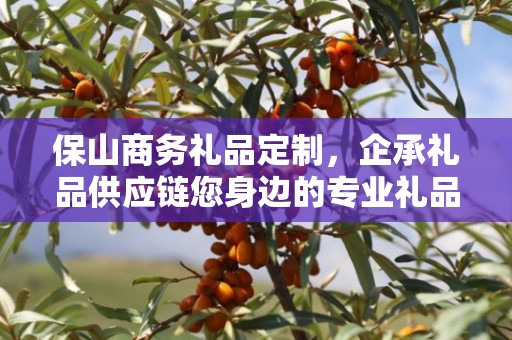 保山商务礼品定制，企承礼品供应链您身边的专业礼品定制公司