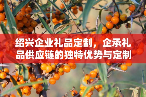 绍兴企业礼品定制，企承礼品供应链的独特优势与定制之旅
