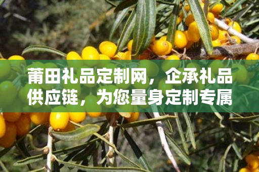 莆田礼品定制网，企承礼品供应链，为您量身定制专属礼品