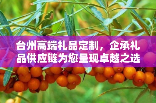 台州高端礼品定制，企承礼品供应链为您呈现卓越之选