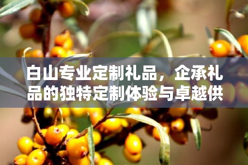 白山专业定制礼品，企承礼品的独特定制体验与卓越供应链优势