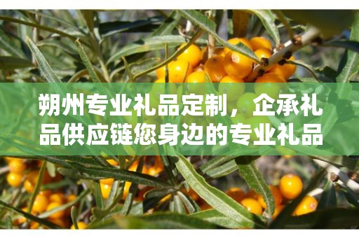 朔州专业礼品定制，企承礼品供应链您身边的专业礼品定制公司