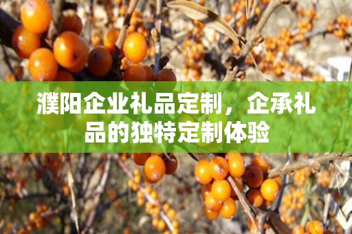 濮阳企业礼品定制，企承礼品的独特定制体验